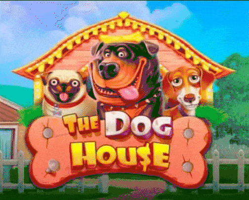 play the dog house in 7oasis casino